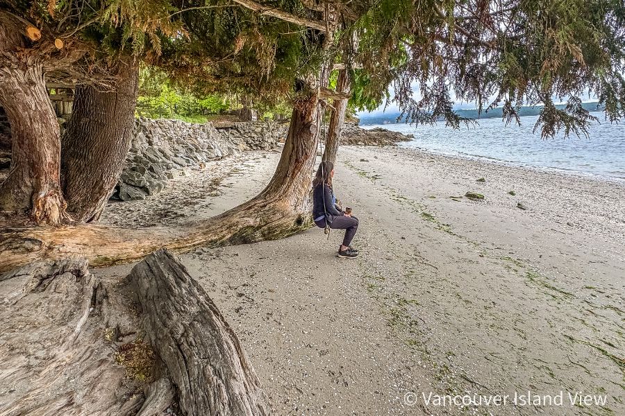 Kim (a woman) sitting on a swing attached to a large tree on a sandy beach on Salt Spring Island. Vancouver Island View