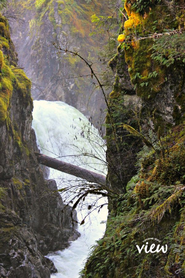 A beautiful waterfall at Little Qualicum Falls Provincial Park on Vancouver Island. Vancouver Island View