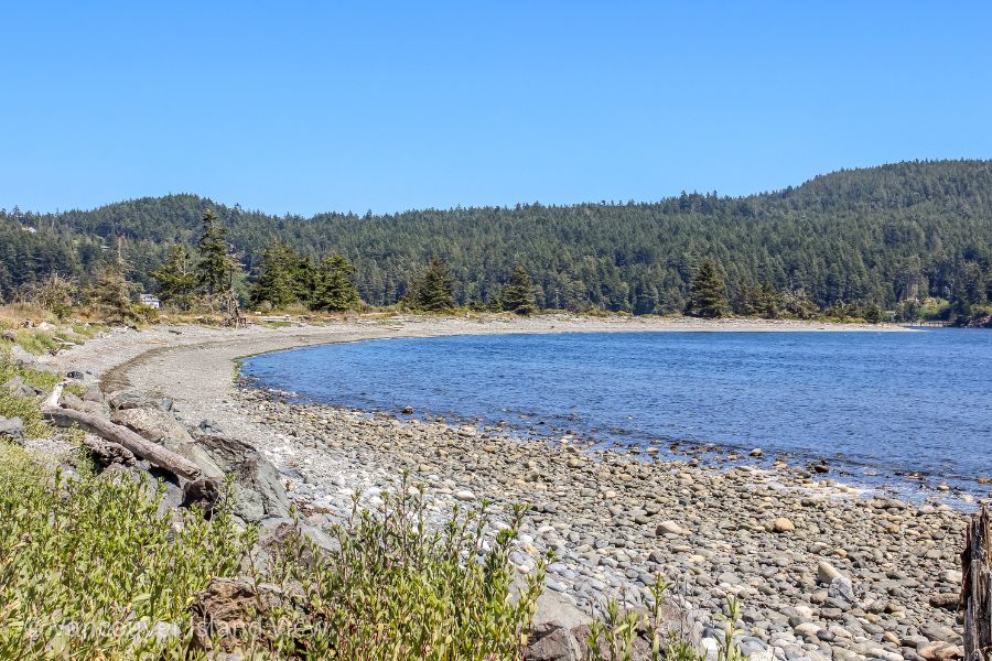 A jut of land with an ocean bay on the right and tall grasses on the left and a tree lined bay in the distance. This is Whiffin Spit in Sooke. It is Steps from the Harbour House which is a perfect resort for a Vancouver Island romantic getaway. Vancouver Island View.