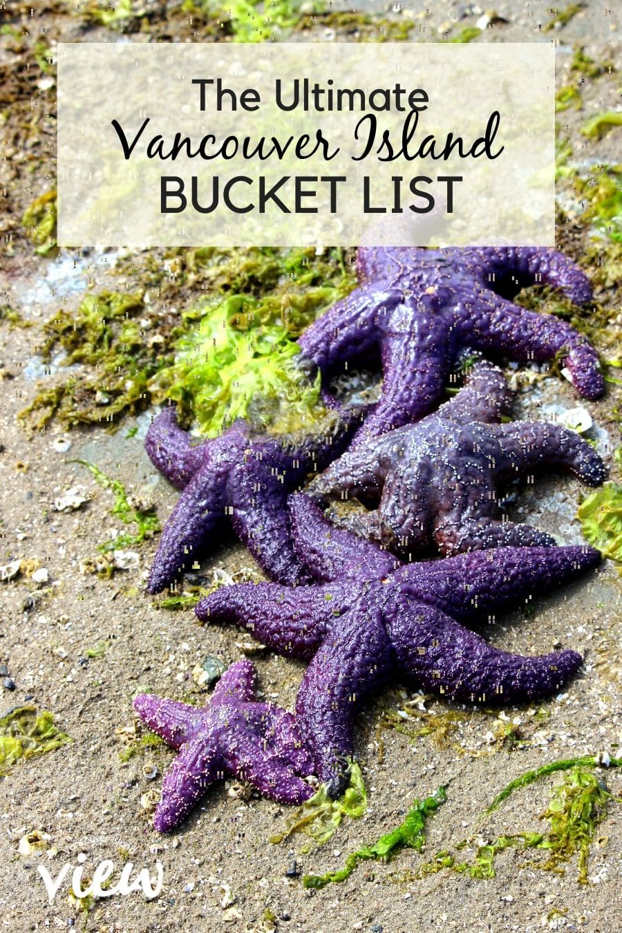 The ultimate Vancouver Island bucket list. Vancouver Island View