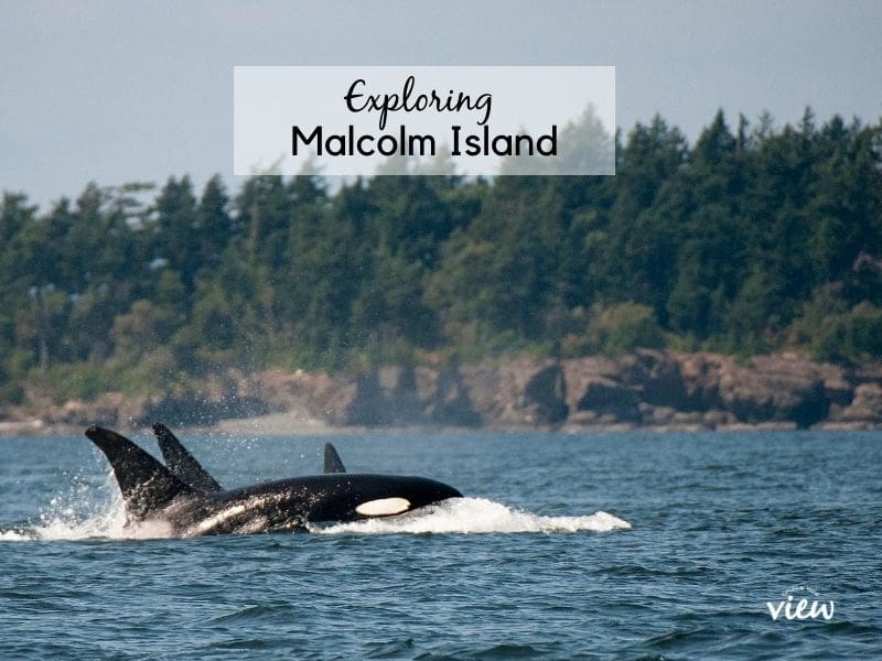 Malcolm Island off Vancouver Island. Vancouver Island View