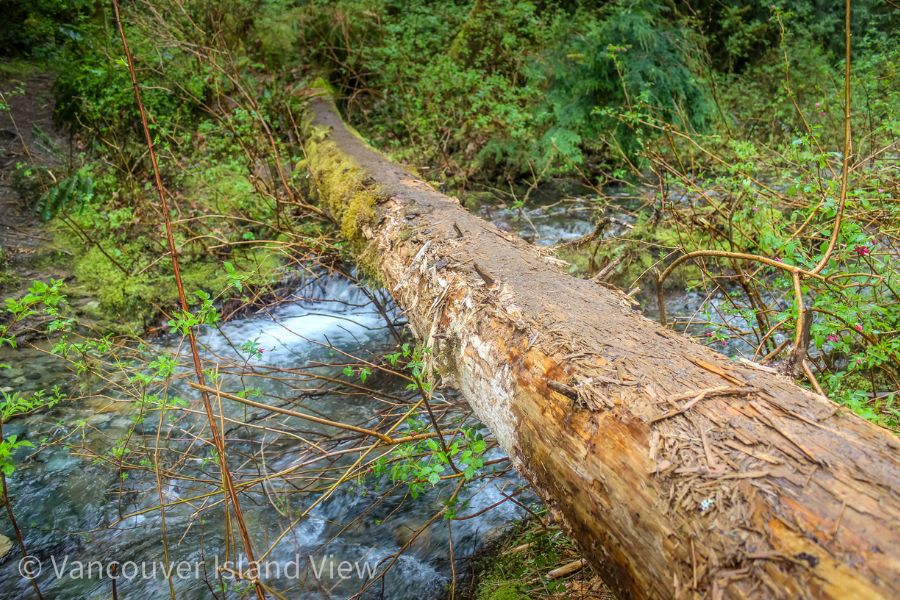 A log bridge crossing over a creek. This is found at Roseweall Creek Falls and Provincial Park on Vancouver Island. Vancouver Island View.