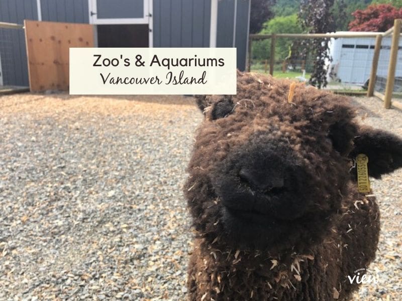 Zoos and Aquariums found on Vancouver Island. Vancouver Island View