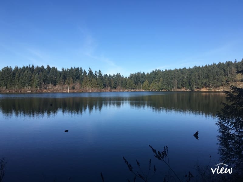 Westwood lake in Nanaimo is one of the best Vancouver Islands lakes to visit - especially during the summer