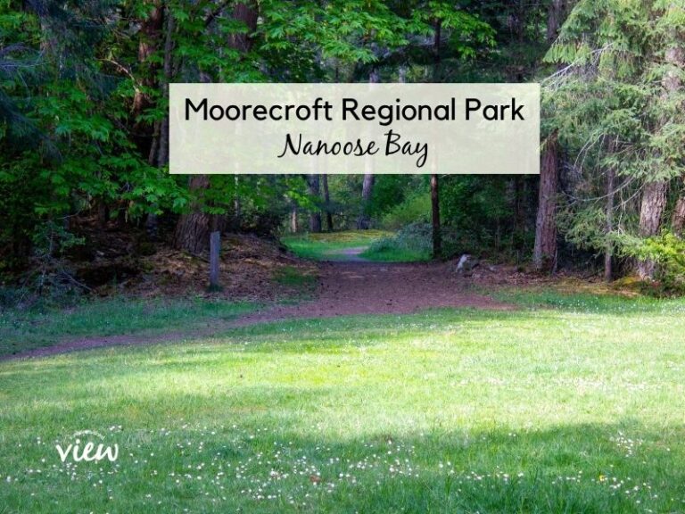 Lush green pathway through forest. This is Moorecroft Regional Park in Nanoose Bay on Vancouver Island. Vancouver Island View