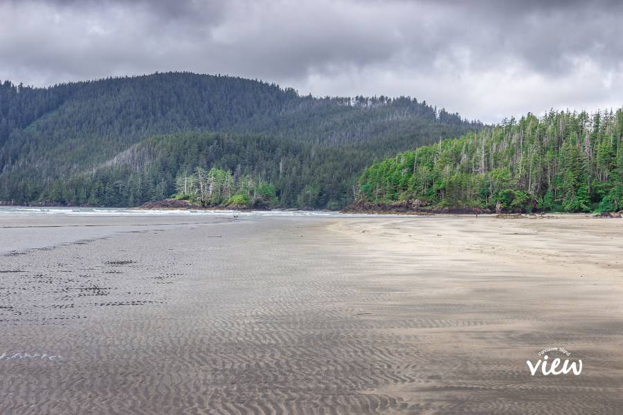 White sand beach at San Josef Bay in Cape Scott Provincial Park. Vancouver Island View