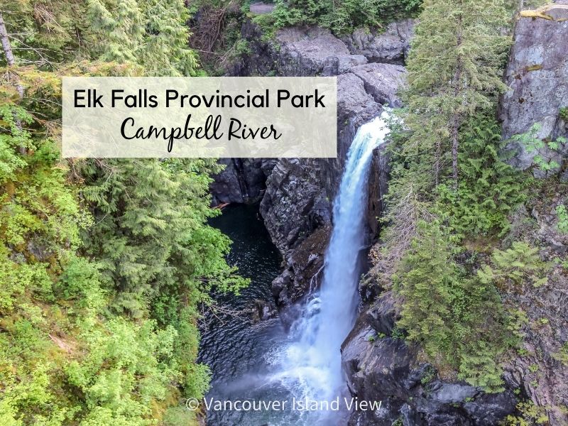 Large waterfall flowing off a rock bluff with trees surrounding it. This is Elk Falls near Campbell River on Vancouver Island. Vancouver Island View