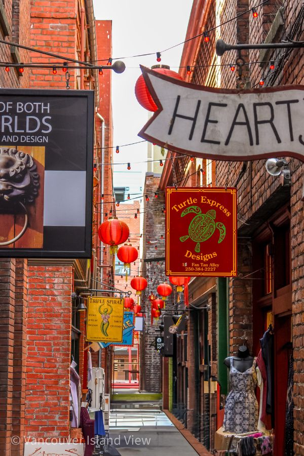 Drago Alley in Victoria's Chinatown on Vancouver Island. A narrow alley filled with red brickfront stores, and red Chinese lanterns overhead along with store signs. Vancouver Island View