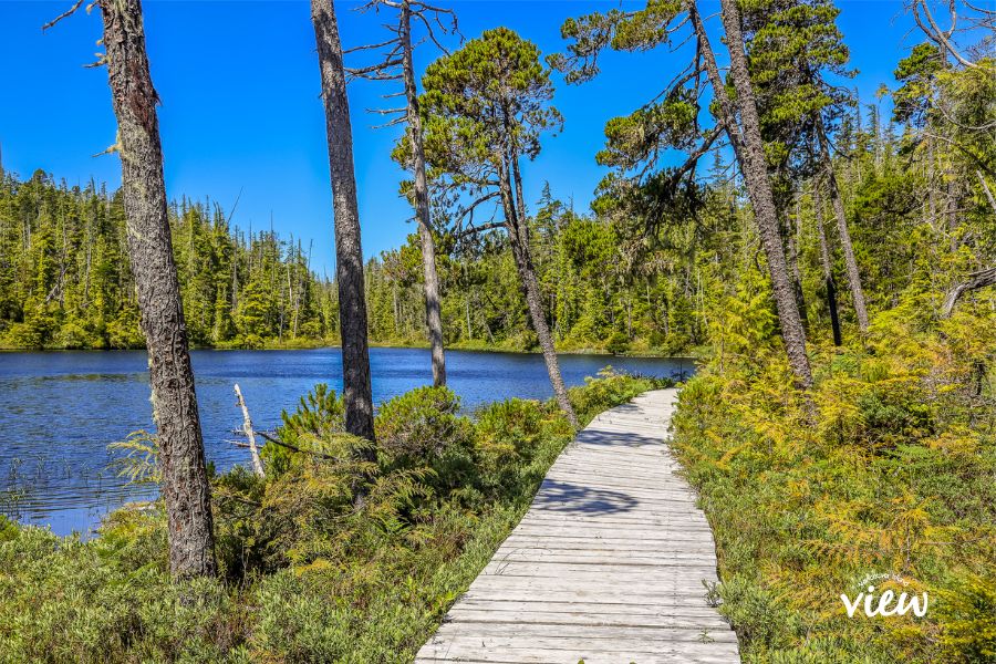 Fort Rupert Trail is a boardwalk trail in Port Hardy. Vancouver Island View