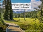 Paradise Meadows is a must see on Vancouver Island. Vancouver Island View