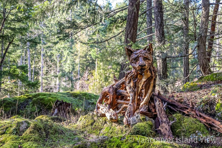 A beautiful driftwood sculpture of a cougar at the Malahat Skywalk. A Malahat Skywalk review from Vancouver Island View