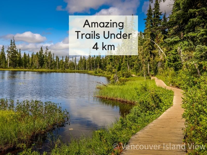 Amazing Vancouver Island Trails Under 4 Km. Vancouver Island View
