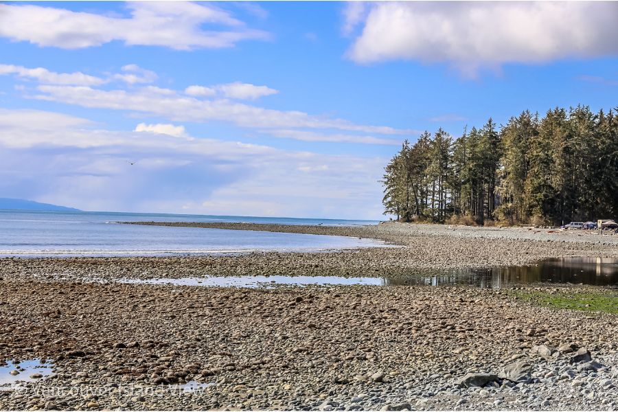 A rocky beach with the ocean tide out and a small grouping of trees in the background near Jordan River. Vancouver Island View. This is one of the places you can see on a romantic Vancouver Island getaway.