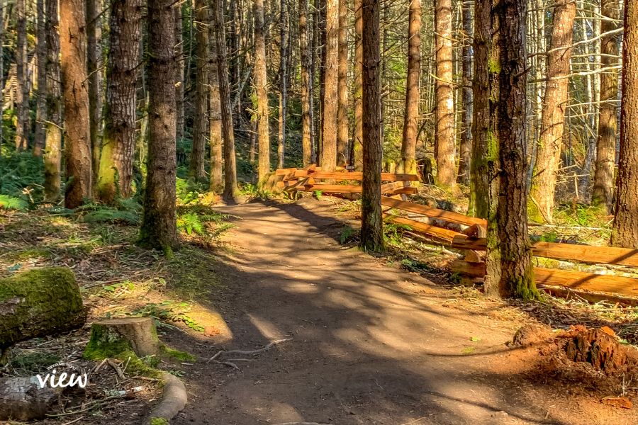 The beautiful trails at Top Bridge Regional Park in Parksville. Vancouver Island View