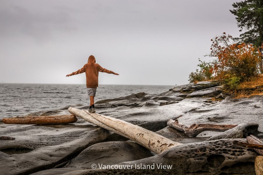 A young boy walking along a log on a rocky shelf beach on a rainy summer day. This is Roberts Memorial Provincial Park. Vancouver Island View