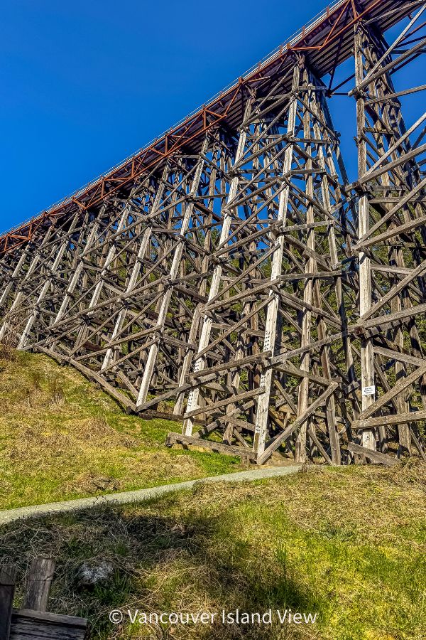 looking up at a large wooden railway trestle with a grassy picnic spot in the foreground. This is the Kinsol Trestle on Vancouver Island - a historical marvel. Vancouver Island View