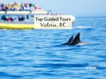 This article provides a list of top-rated tours in Victoria BC. Vancouver Island View