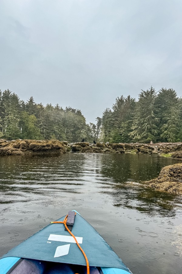The front end of a kayak facing towards the shore where two black bears are foraging.