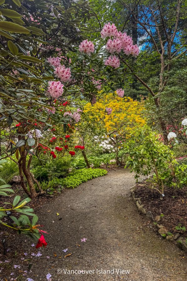 Spring blooms lining a neat, curved path at the Gardens of HCP. This is one of the best gardens in Victoria BC. Vancouver Island View