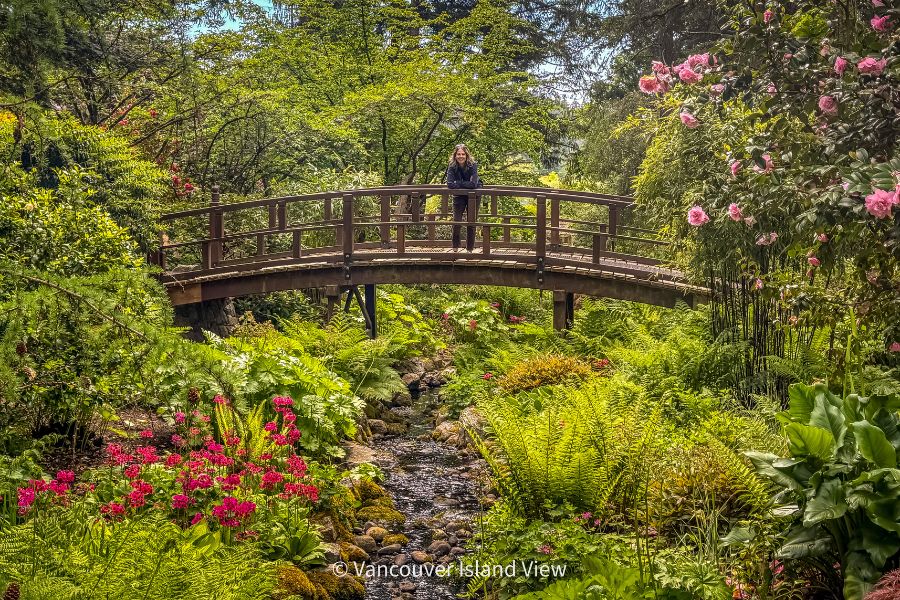 Kim standing on the bridge in the Japanese Garden surrounded by a variety of spring blooms at the Gardens of HCP. This is one of Victoria's best gardens. Vancouver Island View